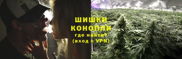 дмт Вяземский