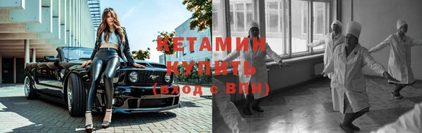 ПСИЛОЦИБИНОВЫЕ ГРИБЫ Горно-Алтайск