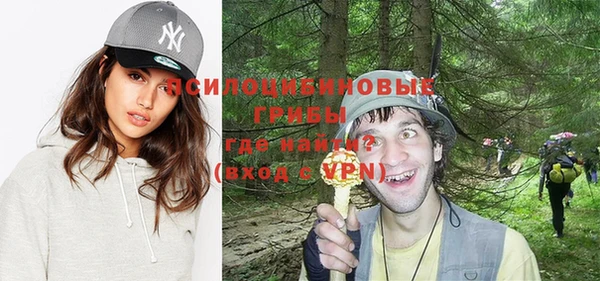 дмт Горнозаводск