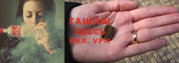 ПСИЛОЦИБИНОВЫЕ ГРИБЫ Горно-Алтайск