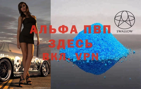 ПСИЛОЦИБИНОВЫЕ ГРИБЫ Горно-Алтайск