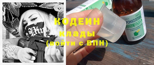 прущие крисы Новозыбков