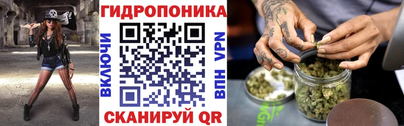 Шишки марихуана сатива Певек